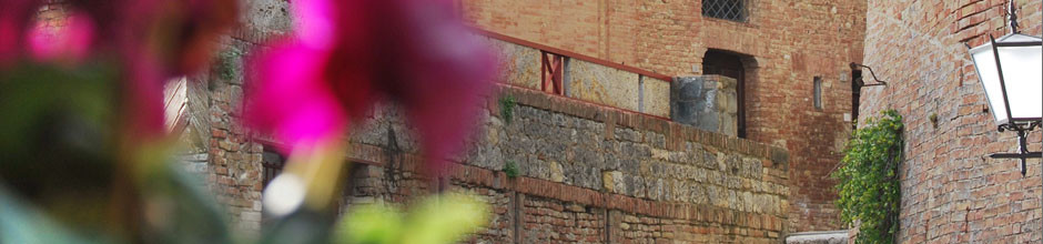 chi_siamo